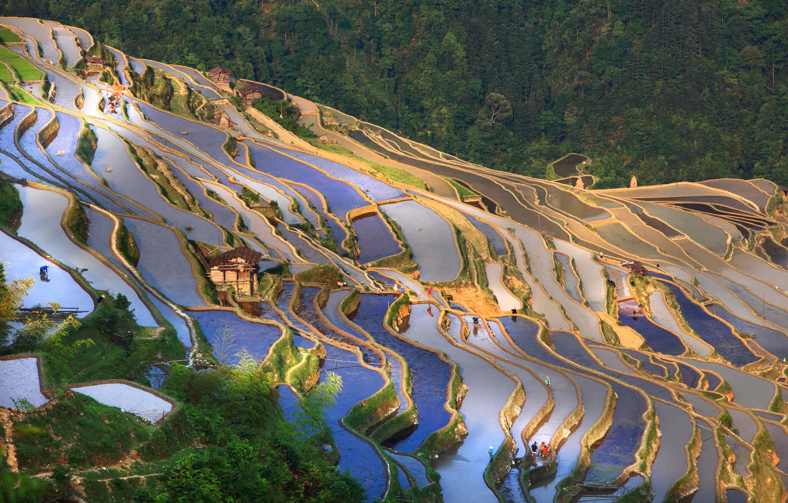 Congjiang Jiabang Terraced Fields